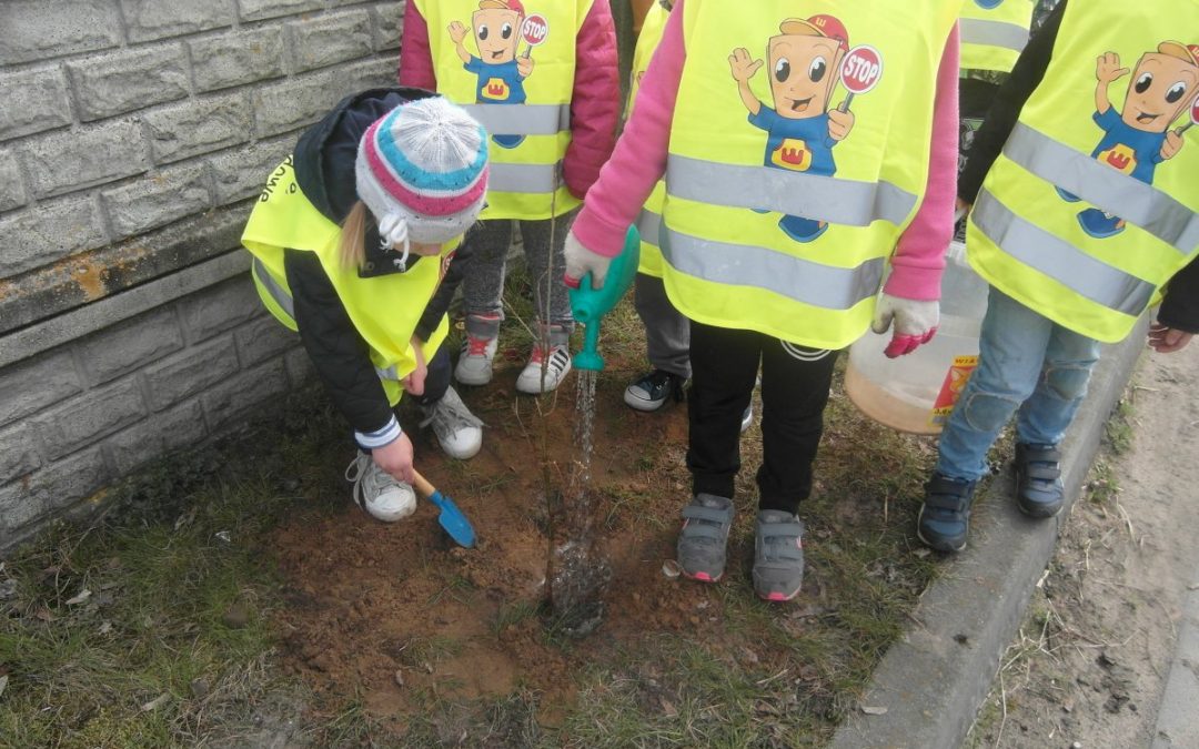 Akcja sadzenia drzewek w Nowej Wsi
