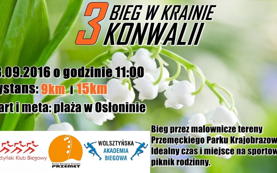 Utrudnienia w ruchu w Olejnicy, Osłoninie i Wieleniu w niedzielę 18 września