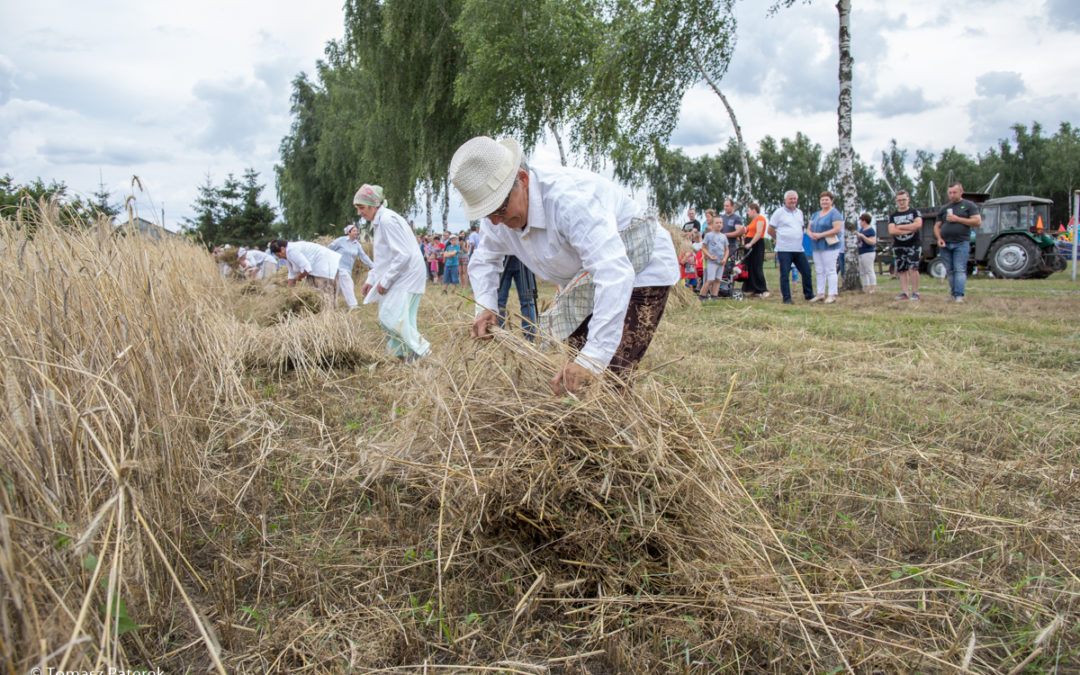 Udane “Rżnięcie po dawnemu 2” w Kluczewie