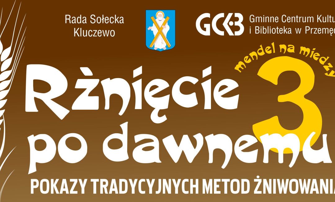 Rżnięcie po dawnemu po raz trzeci w Kluczewie