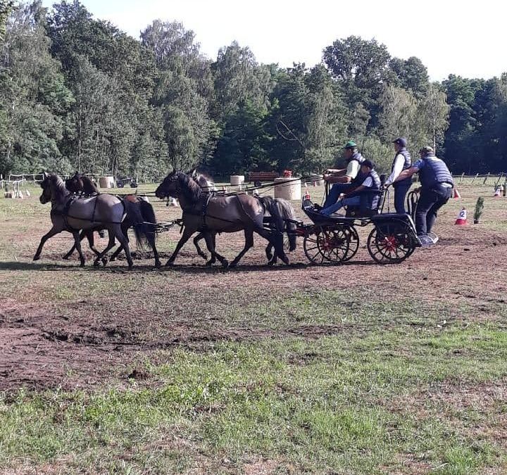 Zawody w powożeniu w Wieleniu