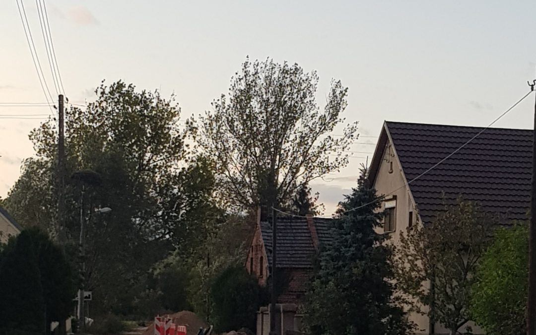Przebudowa drogi w m. Siekówko