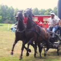 Na zdjęciu dwójka osób na bryczce ciągniętej przez konie. Fotografia zrobiona podczas jednej z konkurencji.