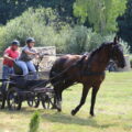 Na zdjęciu dwójka osób na bryczce ciągniętej przez konia. Fotografia zrobiona podczas jednej z konkurencji.