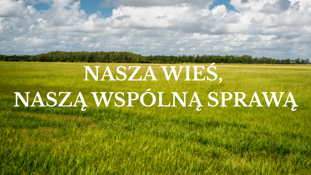 Grafika przedstawia